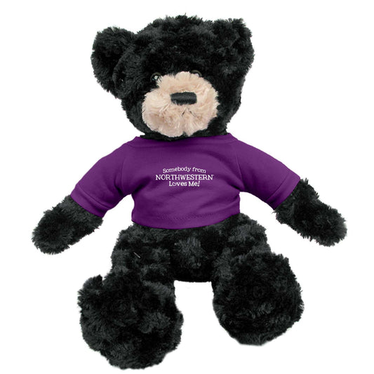 Northwestern University Wildcats Dexter Black Teddy Bear Wearing Purple "Somebody from Northwestern Loves Me" Tee Shirt