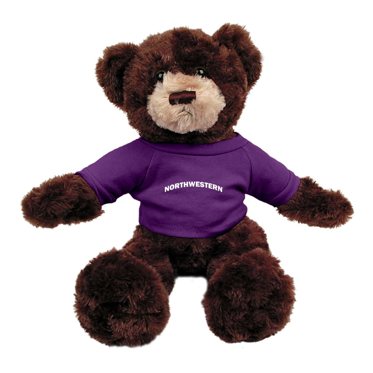 Northwestern University Wildcats Dexter Brown Teddy Bear Wearing Purple "Northwestern" Tee Shirt