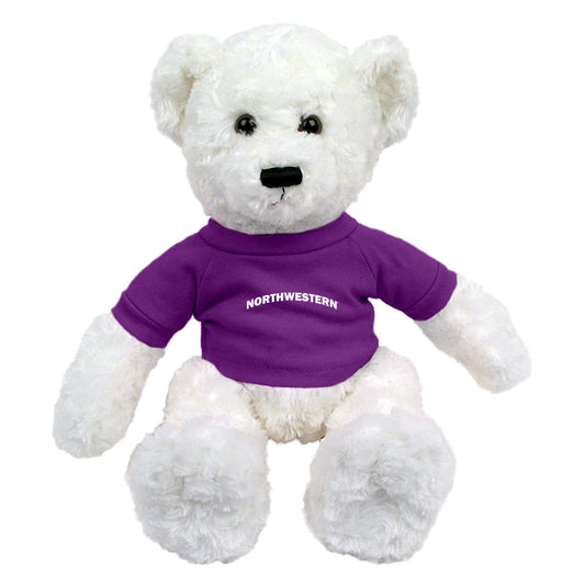 Northwestern University Wildcats Dexter White Teddy Bear Wearing Purple "Northwestern" Tee Shirt