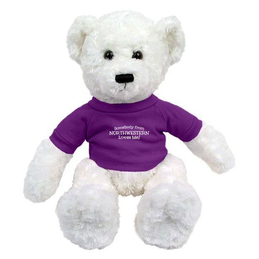 Northwestern University Wildcats Dexter White Teddy Bear Wearing Purple "Somebody from Northwestern Loves Me" Tee Shirt