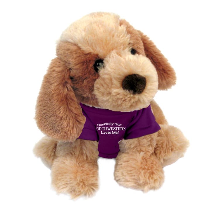 Northwestern University Wildcats Bo The Plush Dog Wearing Purple "Somebody from Northwestern Loves Me" Tee Shirt