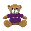 Northwestern University Wildcats Friendly Bunch Bear Wearing Purple "Northwestern" Tee Shirt