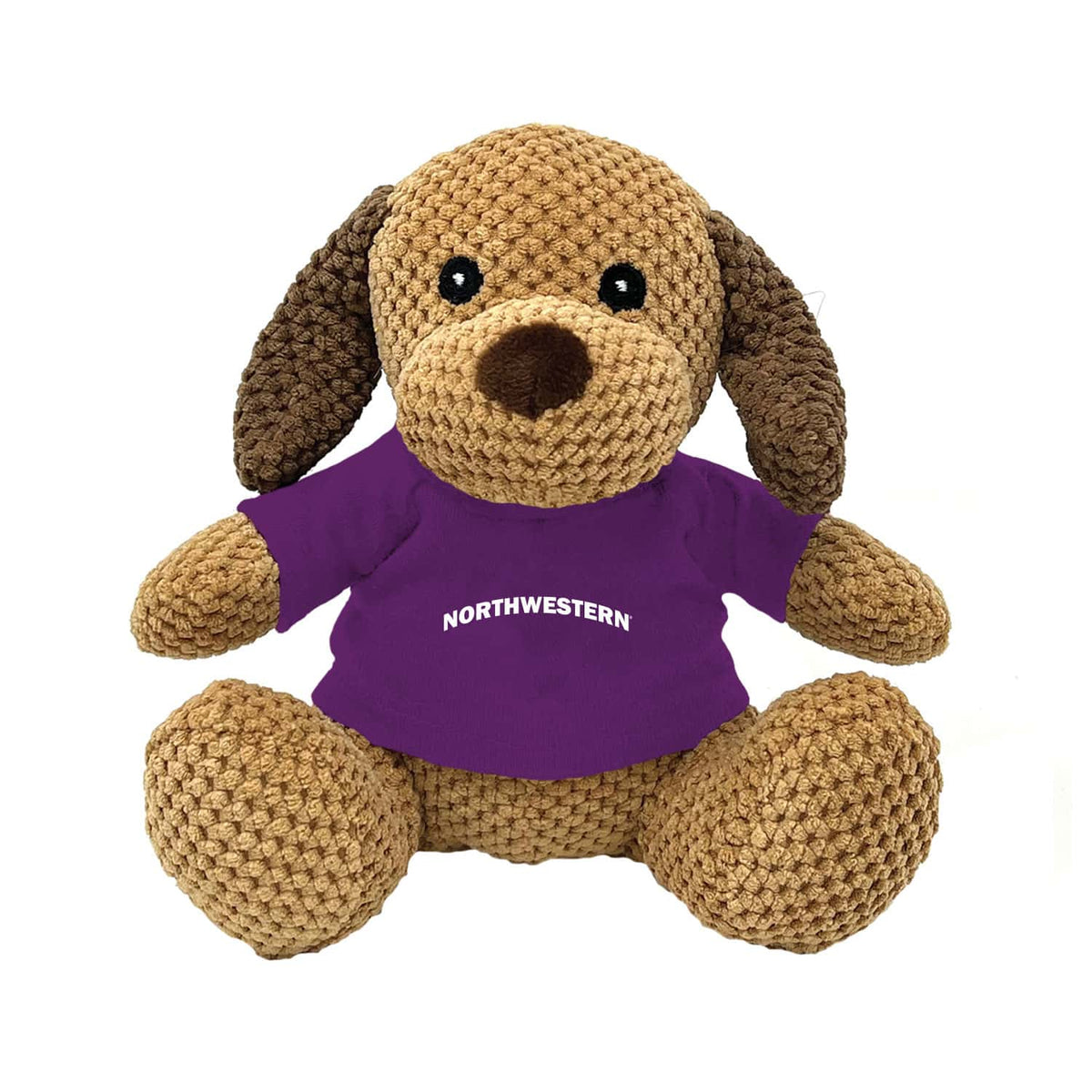 Northwestern University Wildcats Friendly Bunch Dog Wearing Purple "Northwestern" Tee Shirt