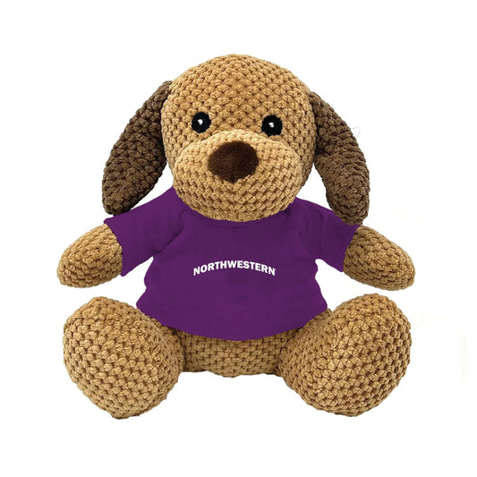 Northwestern University Wildcats Friendly Bunch Dog Wearing Purple "Northwestern" Tee Shirt