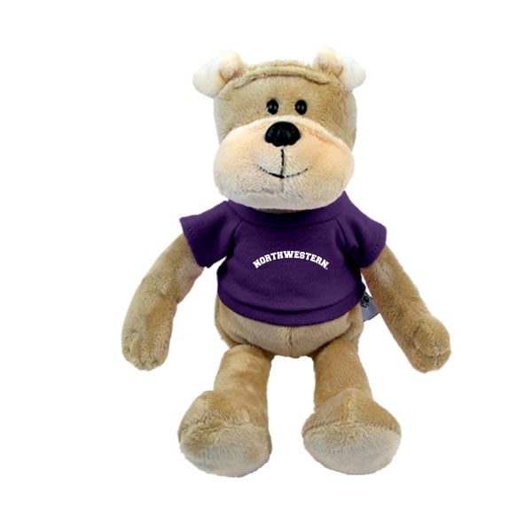 Northwestern University Wildcats Wild Bunch Dog Wearing Purple "Northwestern" Tee Shirt