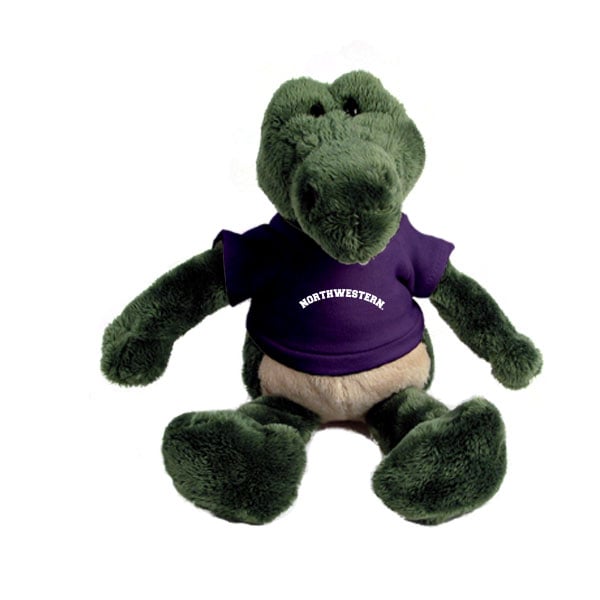 Northwestern University Wildcats Wild Bunch Gator Wearing Purple "Northwestern" Tee Shirt