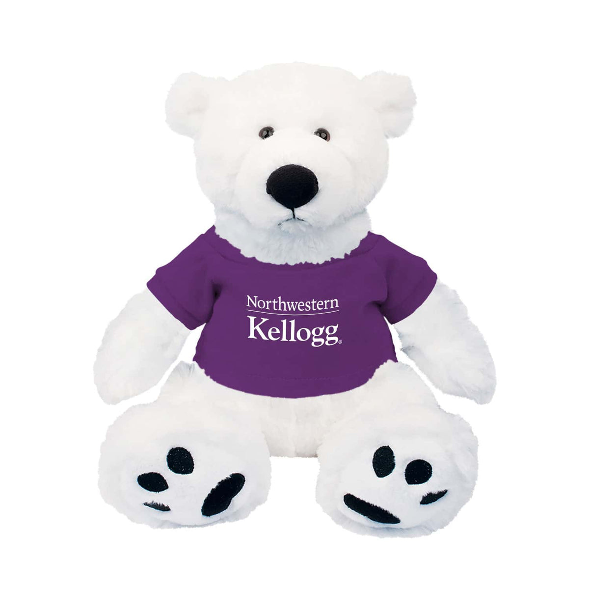 Northwestern I Kellogg Scout White Teddy Bear Wearing Purple "Northwestern I Kellogg" Tee Shirt