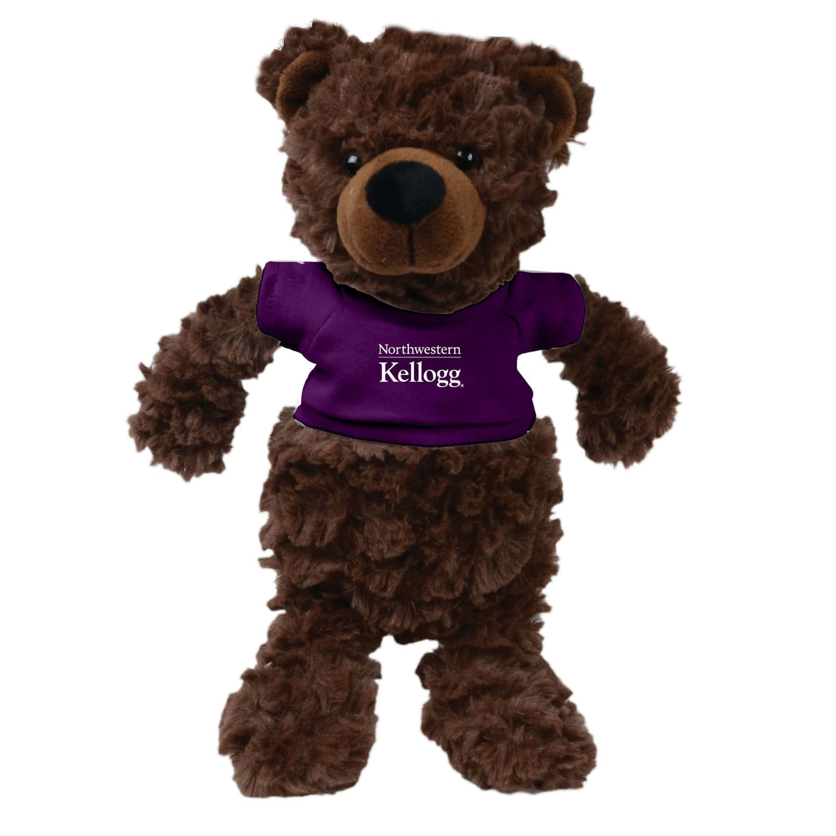 Northwestern I Kellogg Fuzzy Bunch Bear Wearing Purple "Northwestern I Kellogg" Tee Shirt