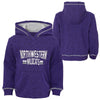Northwestern University Wildcats Toddler Purple Slub Hooded Sweatshirt