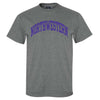 Northwestern University Wildcats Men's MV Graphite Classic Tee with One Color Arch Design in Purple