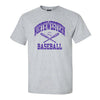 Northwestern University Wildcats Grey Short Sleeve Tee Shirt with Baseball Design