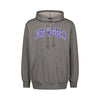 Northwestern University Wildcats Men's MV Fundamental Fleece Graphite Hooded Sweatshirt with Two Color Arch Design