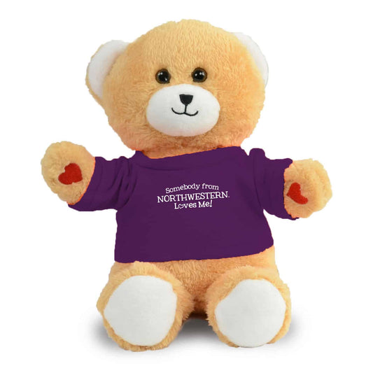 Northwestern University Wildcats Lovie Teddy Bear Wearing Purple "Somebody from Northwestern Loves Me" Tee Shirt