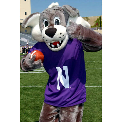 Northwestern University Wildcats Mascot Willie The Wildcat Plush