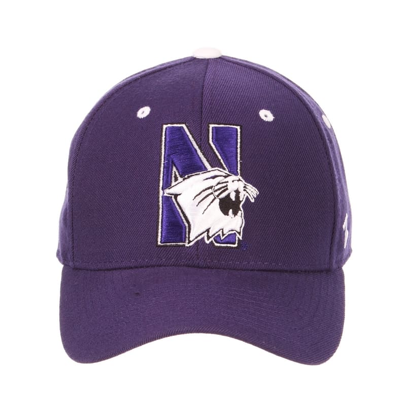 Northwestern University Wildcats Zephyr Dark Purple Fitted Hat with Stylized N-Cat Design