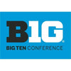 Northwestern University Wildcats Big Ten Conference 2'X3' Flag