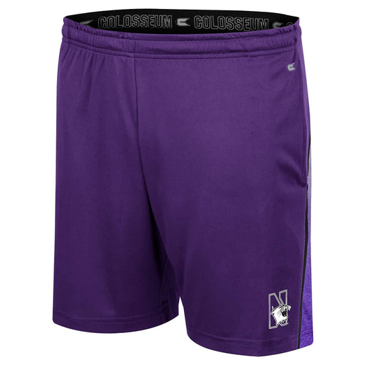 Northwestern University Wildcats Colosseum Men's Purple Laws Of Physics Short