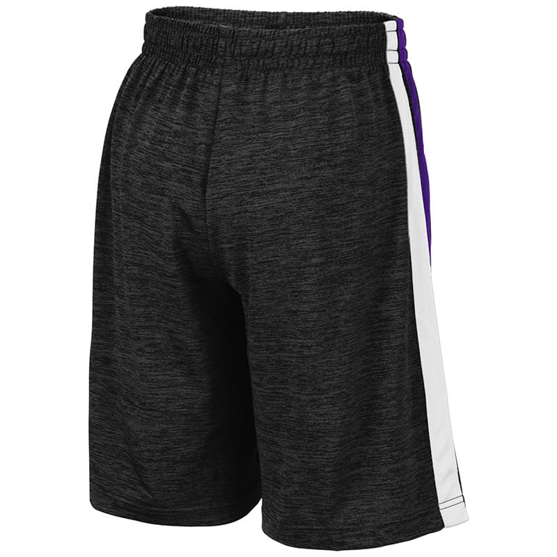 Northwestern University Wildcats Colosseum Black/Purple/Black Youth Mendoza Short with N-Cat Design-Back