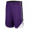 Northwestern University Wildcats Colosseum Youth Boys Haller Short