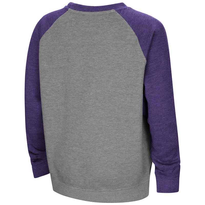 Northwestern University Wildcats Colosseum Heather Grey/Purple Youth Rudy Zoleteck Crewneck with Stylized N Design-Back