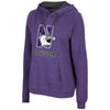 Northwestern University Wildcats Colosseum Women's Purple Genius Hoodie