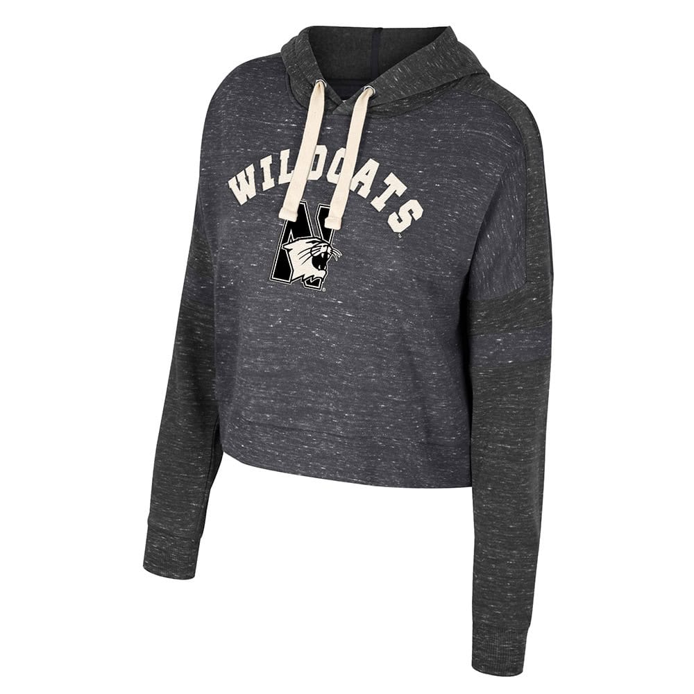 Northwestern University Wildcats Colosseum Women's Lost City Speckle Hoodie (Black/Charcoal)
