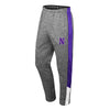 Northwestern University Wildcats Colosseum Men's Dozzer Tapered Leg Pants in Nickel Grey/Limited Purple/Black