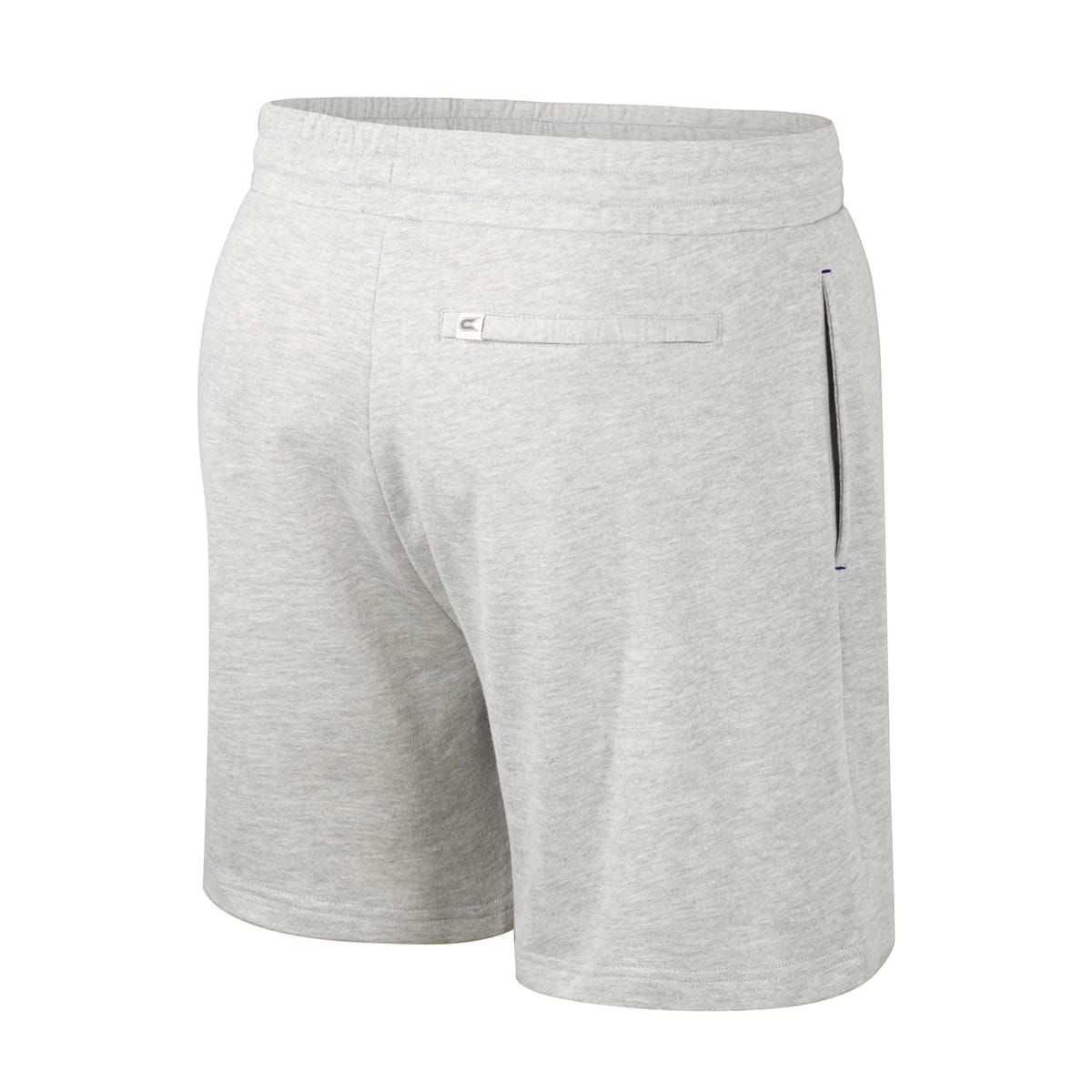 Northwestern University Wildcats Colosseum Men's Byrde Gray Shorts-Back