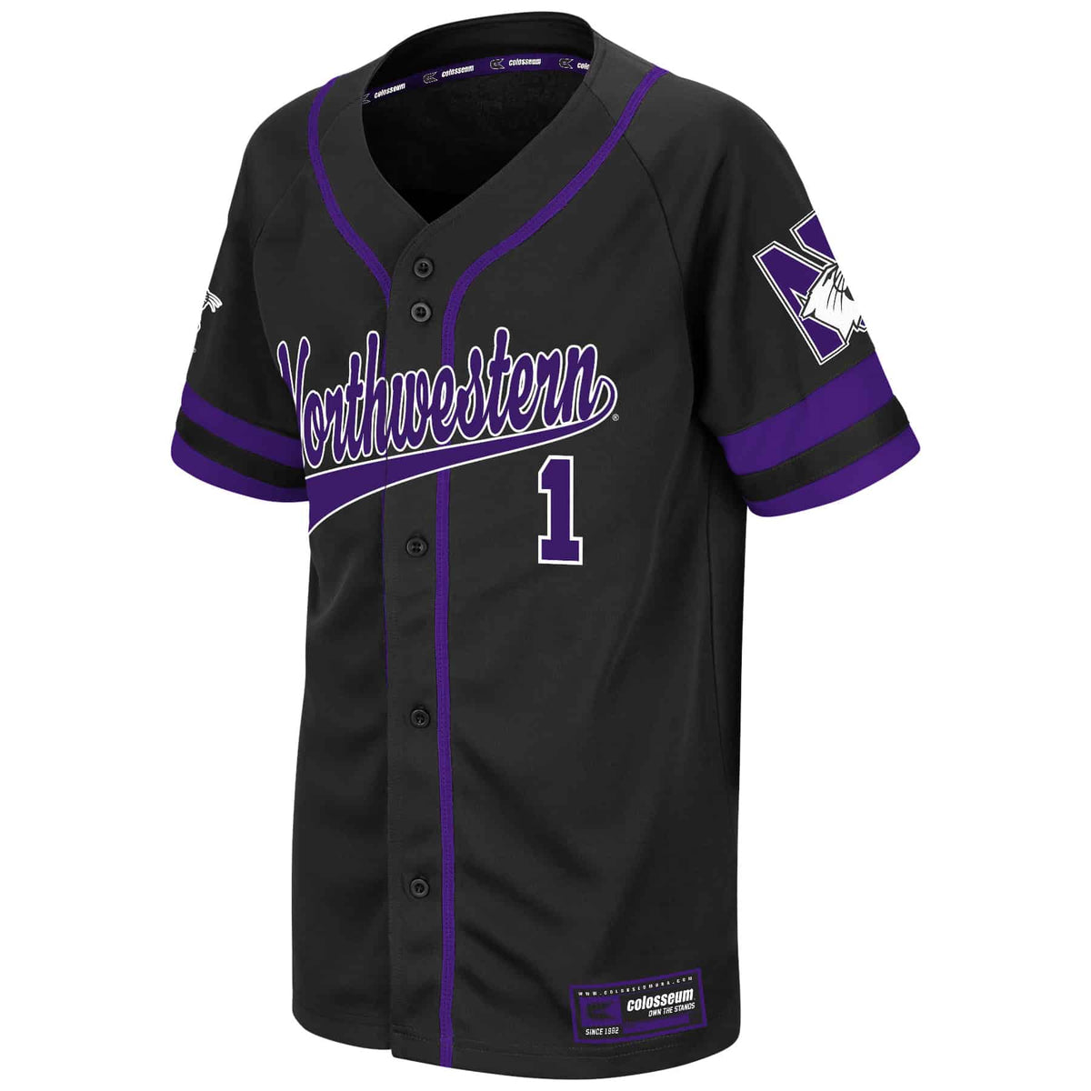 Northwestern University Wildcats Colosseum Youth Black Turf 'N' Turf Baseball Jersey with Script Northwestern Design