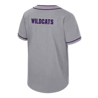 Northwestern University Wildcats Colosseum Youth Detonation Grey Baseball Jersey -back