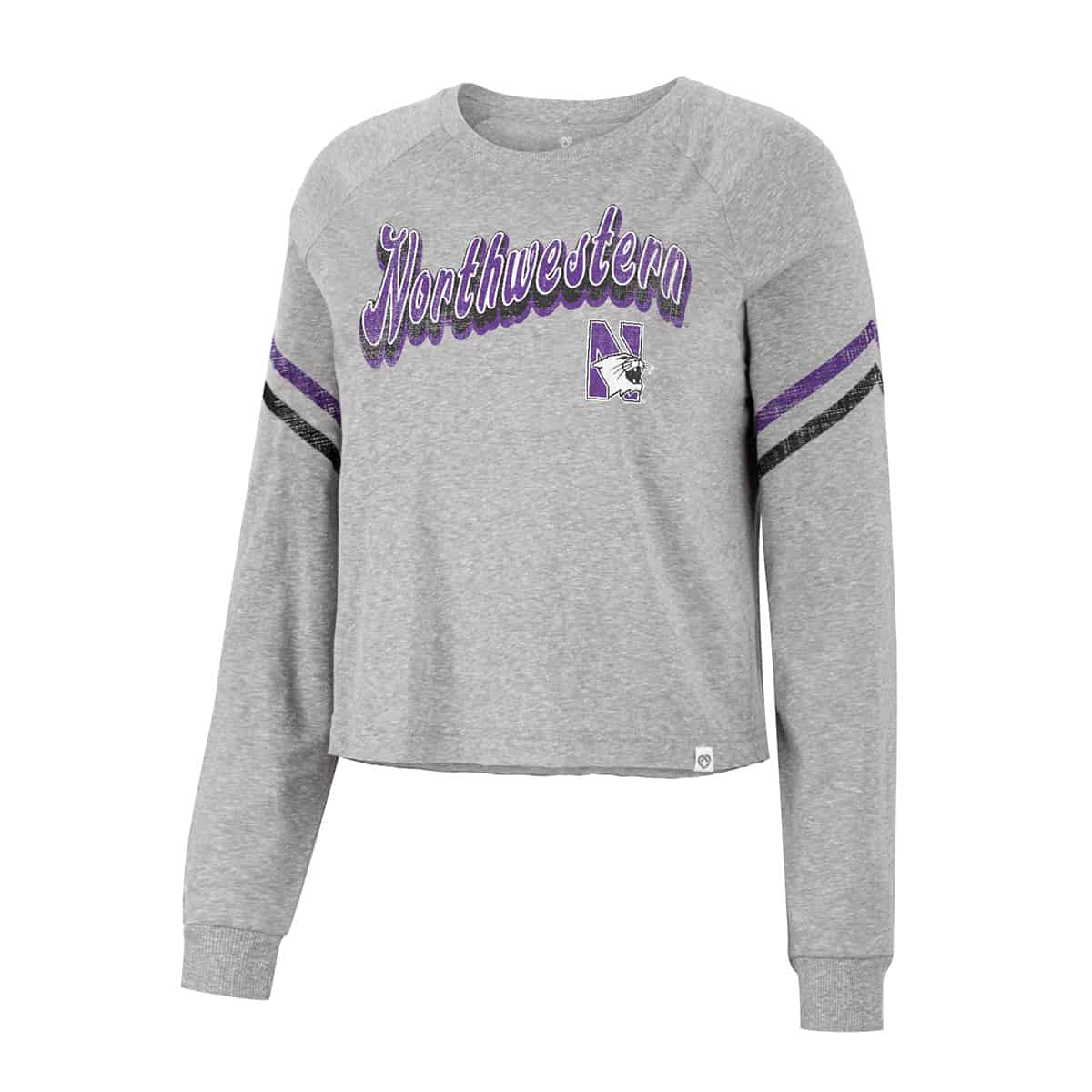 Northwestern University Wildcats Colosseum Ladies Love Actually L/S Crop Tee