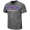 Northwestern University Wildcats Colosseum Men's Born N Raised S/S Tee