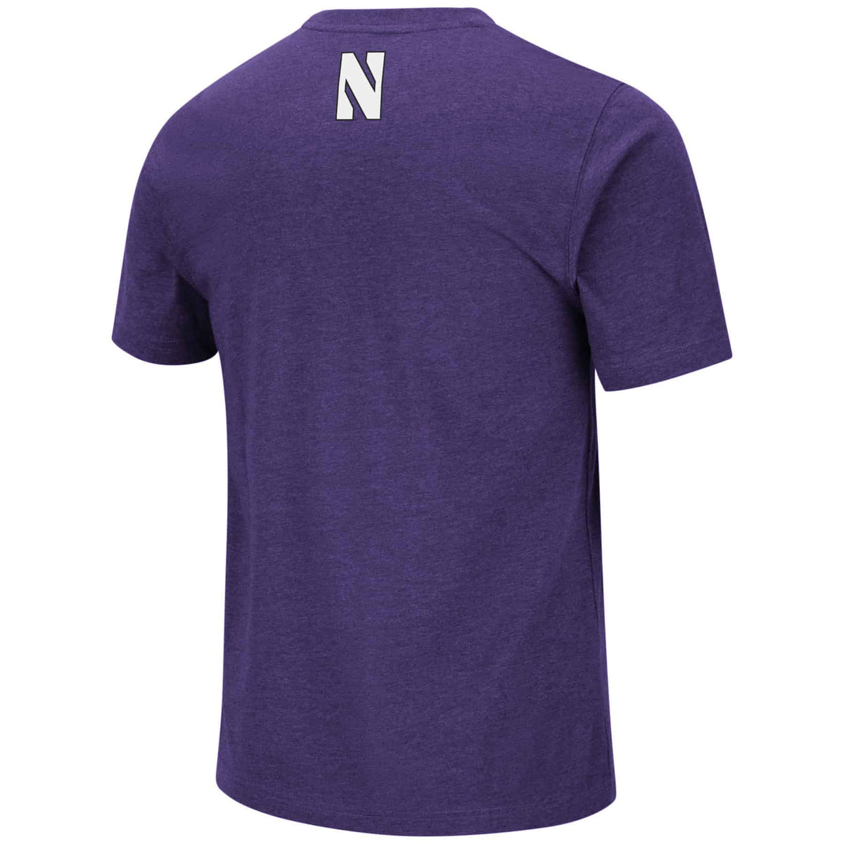 Northwestern University Wildcats Colosseum Men's Purple Swanson S/S Tee-Back