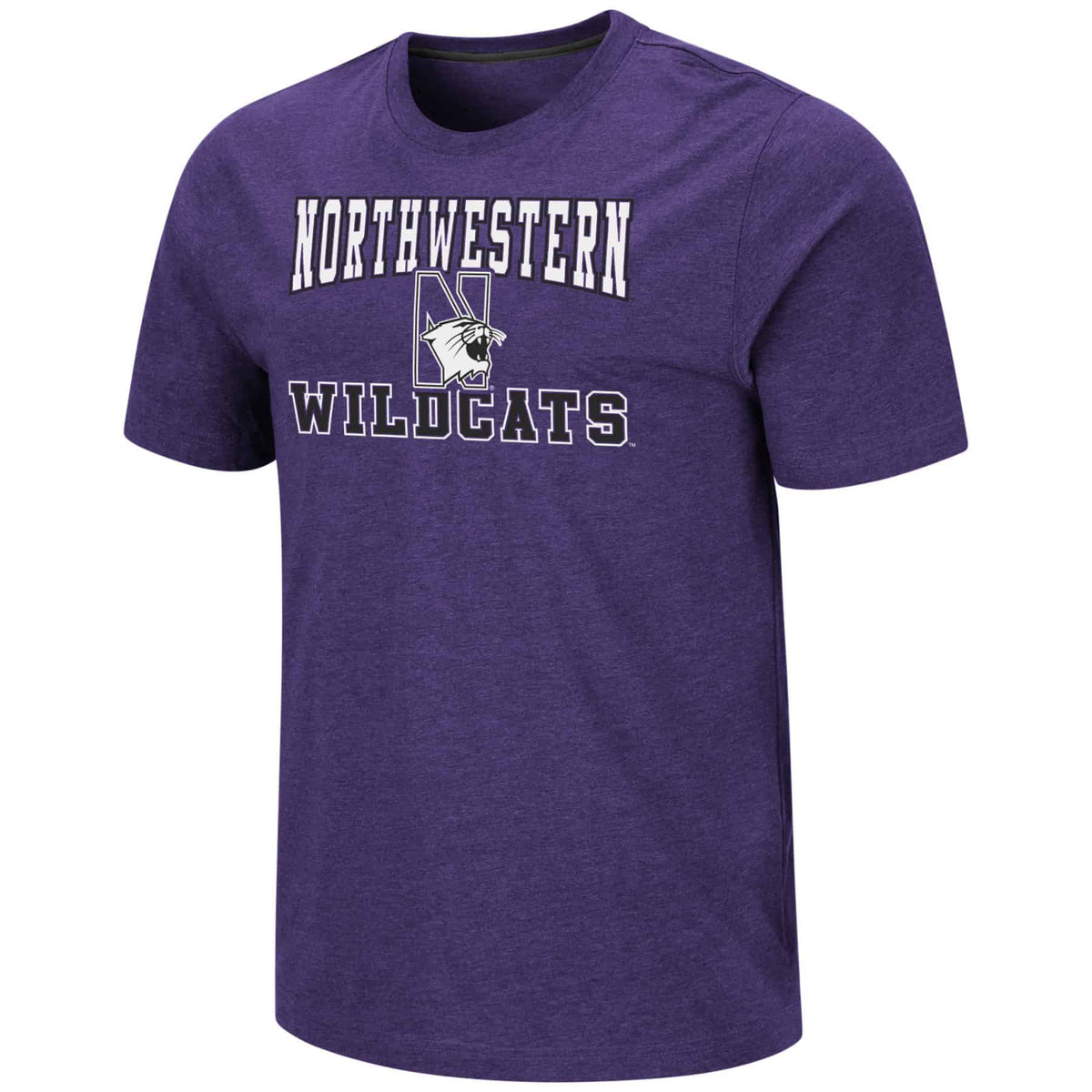 Northwestern University Wildcats Colosseum Men's Purple Swanson S/S Tee