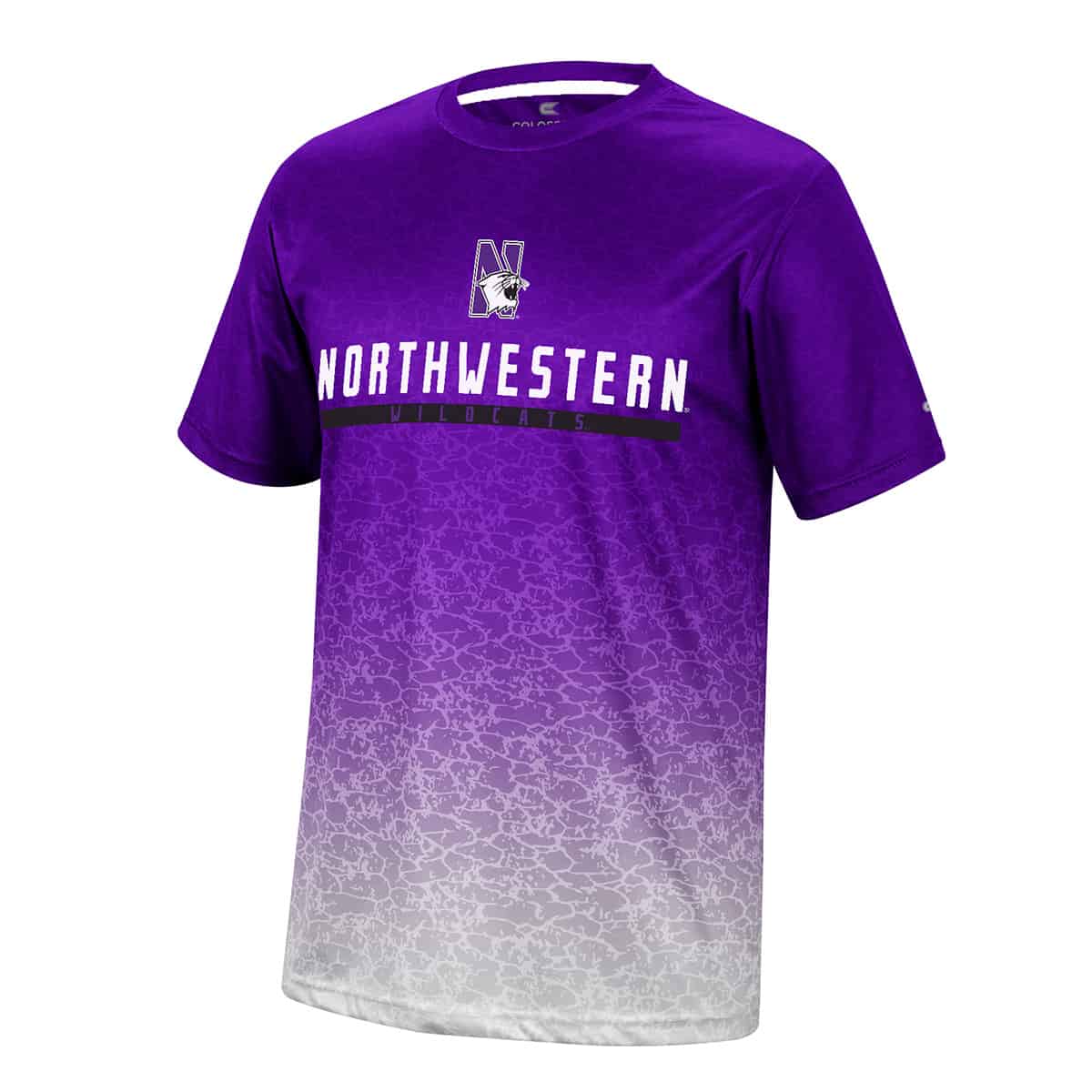 Northwestern University Wildcats Colosseum Men's Walter S/S Tee