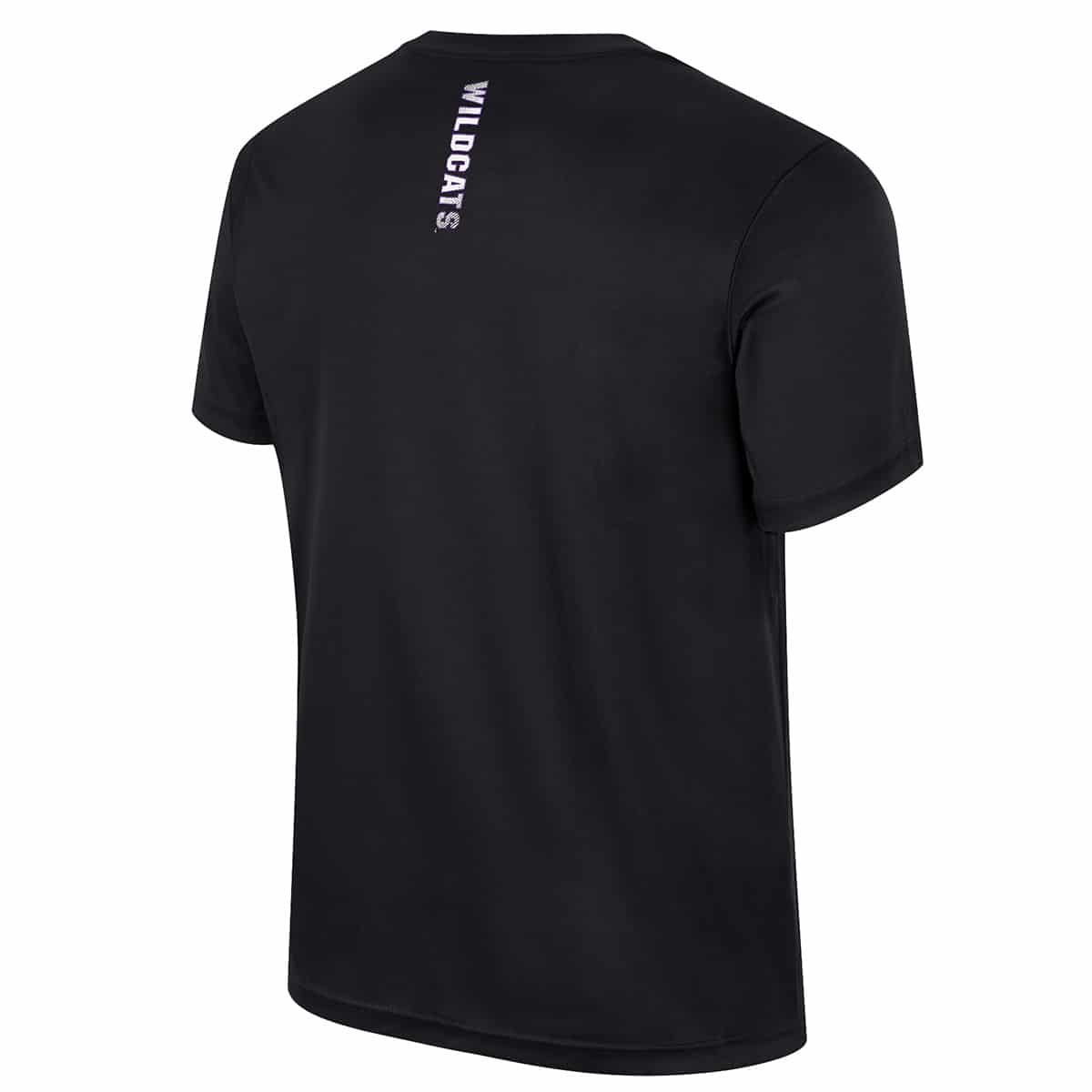 Northwestern University Wildcats Colosseum Men's Black Stan S/S Tee - Back Side
