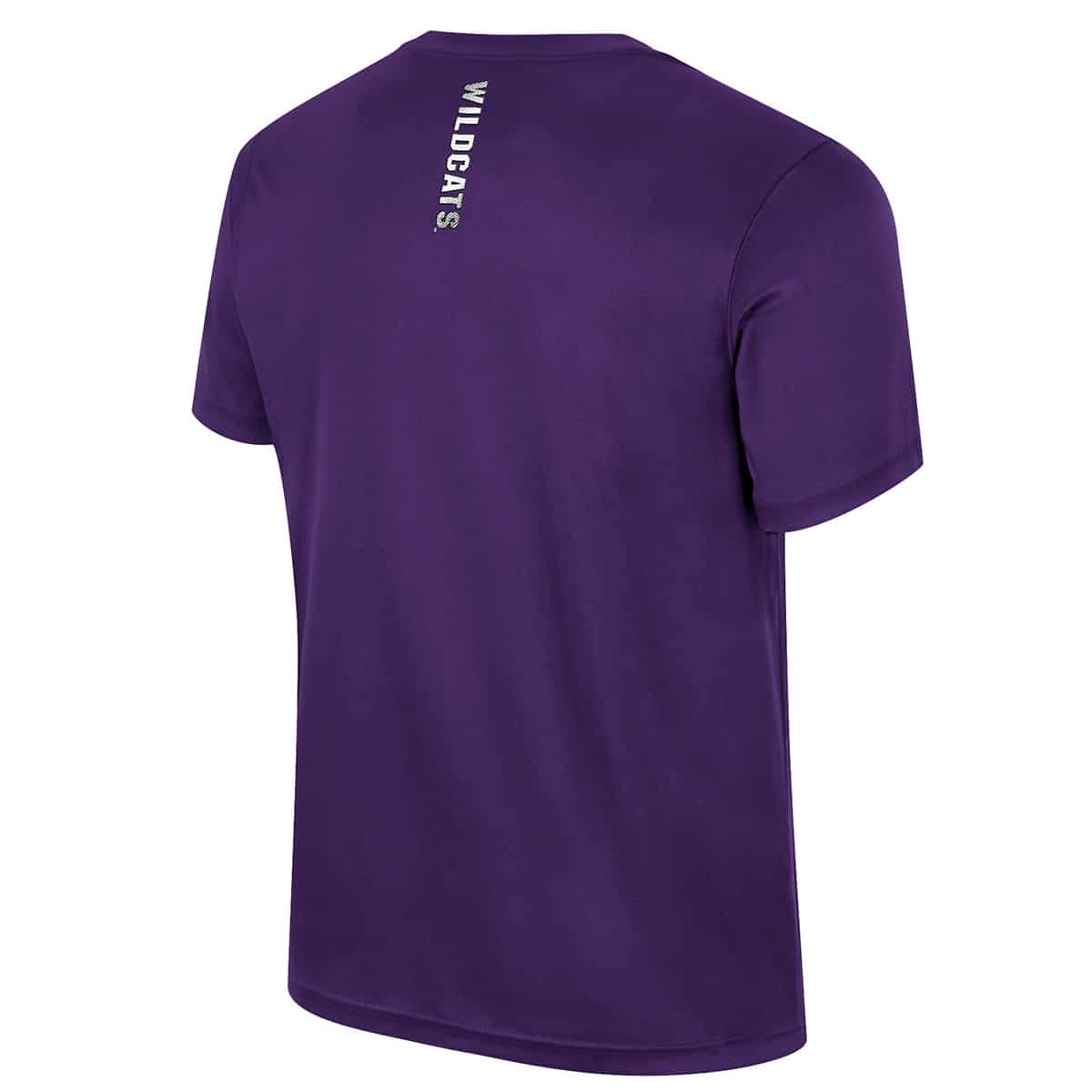 Northwestern University Wildcats Colosseum Men's Purple Stan S/S Tee - Back Side