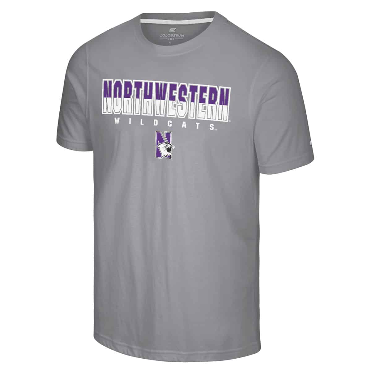 Northwestern University Wildcats Colosseum Men's Purple/White Crane S/S Tee