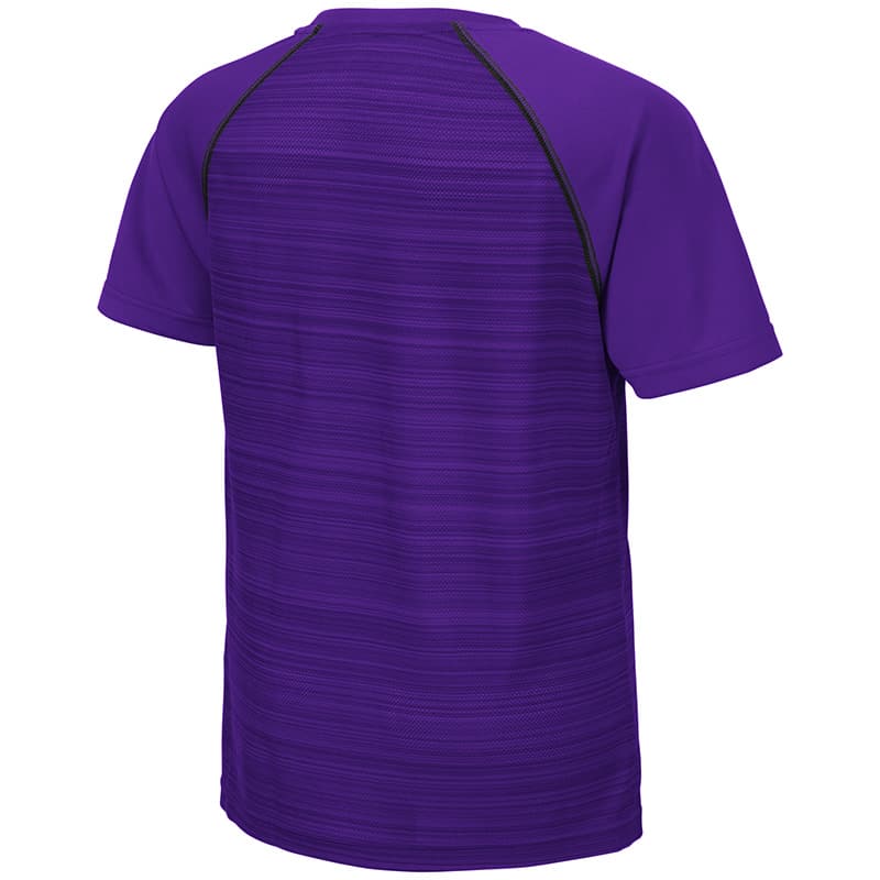 Northwestern University Wildcats Colosseum Youth Purple Buenos Aires S/S T-Shirt with N-Cat Design-Back