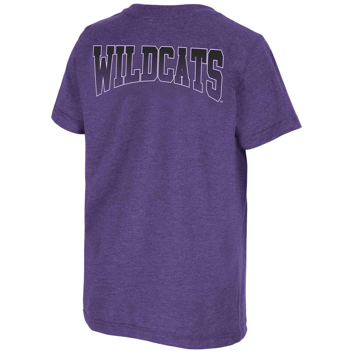 Northwestern University Wildcats Colosseum Youth Toffee S/S Tee Backside