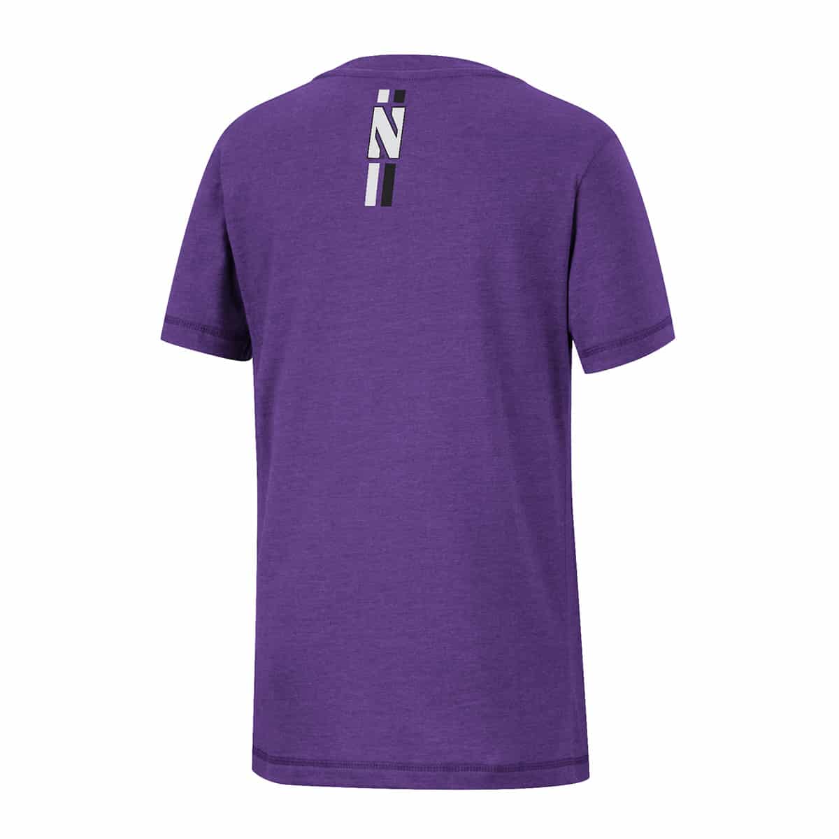 Northwestern University Wildcats Colosseum Youth Fly A Kite S/S Tee - Back Side