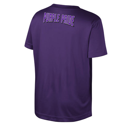 Northwestern University Wildcats Colosseum Youth Hargrove Purple S/S Tee-Back