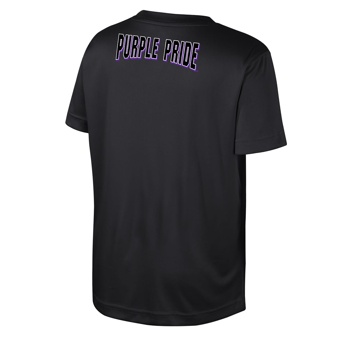 Northwestern University Wildcats Colosseum Youth Hargrove Black S/S Tee -Back