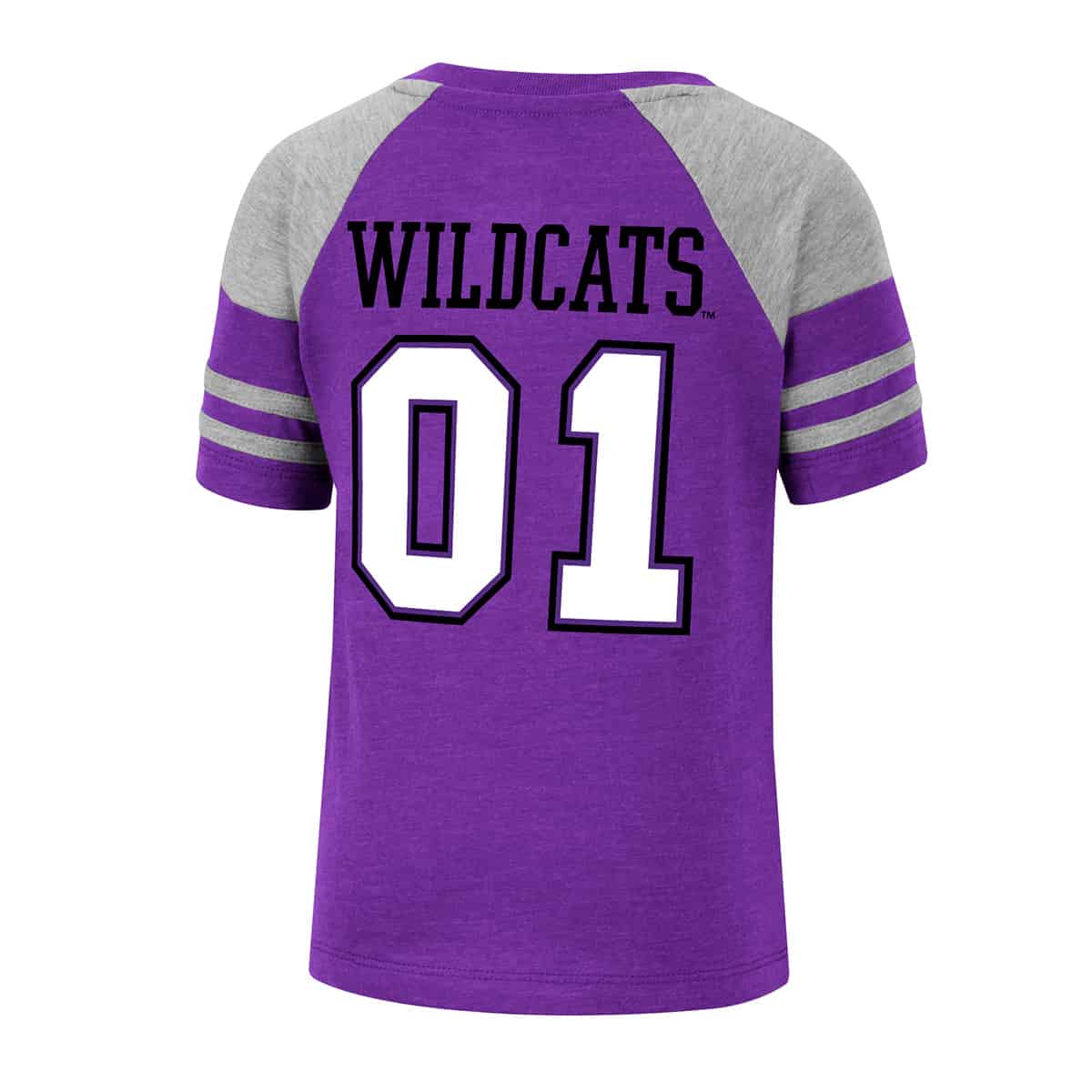 Northwestern University Wildcats Colosseum Toddler Boys Michael Football Tee - Back Side