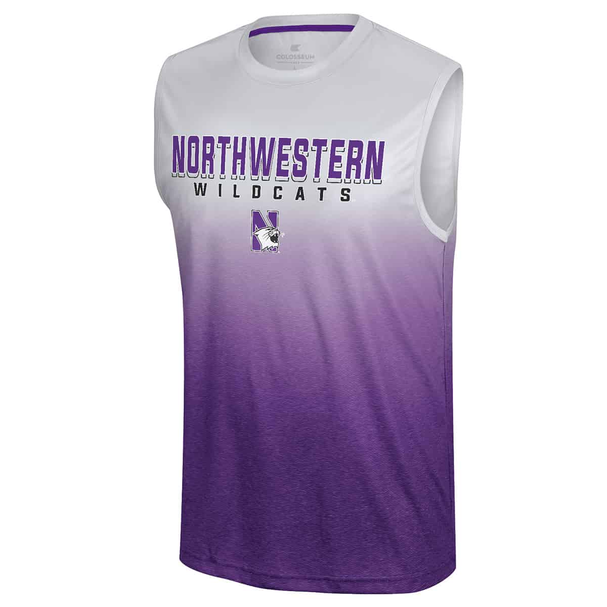 Northwestern University Wildcats Colosseum Men's Purple Laws Of Physics Sleeveless Tee