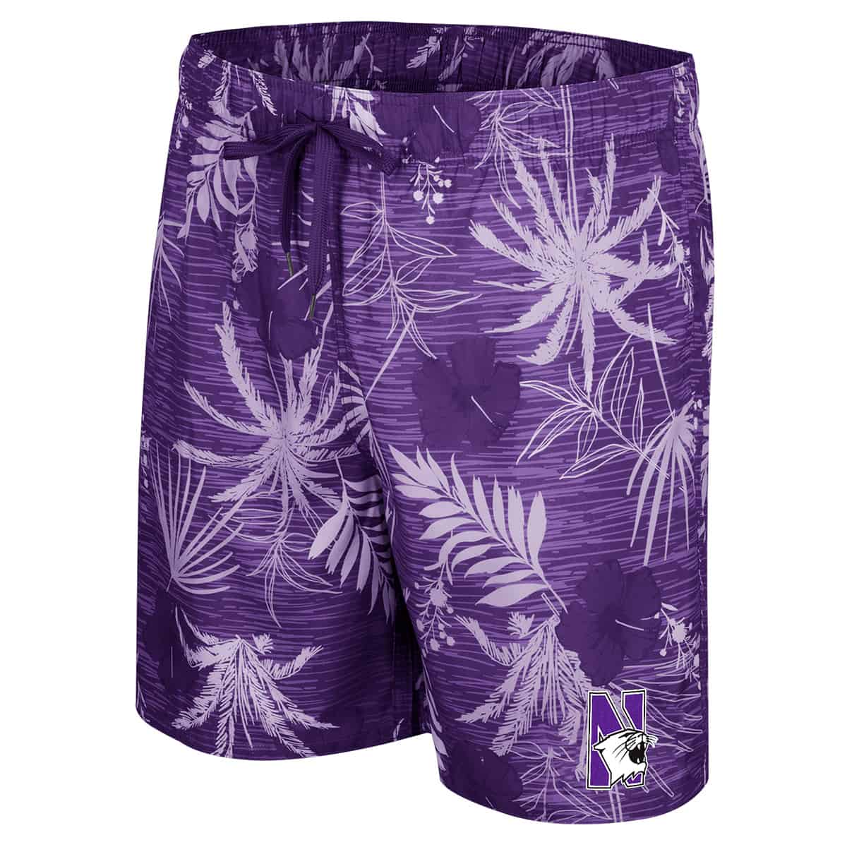 Northwestern University Wildcats Men's Colosseum Purple What Else Is New? Swim Short