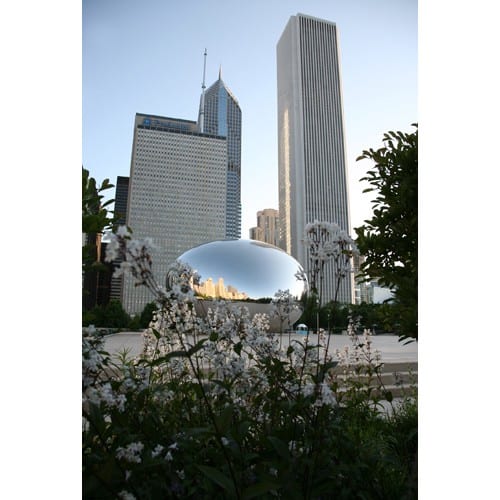 Chicago Postcard: Cloud Gate, aka "The Bean" at Milenium Park CPC0023