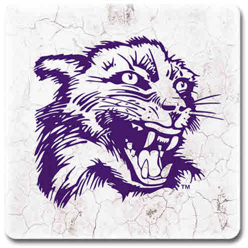 Northwestern University Wildcats Ceramic Coaster #3