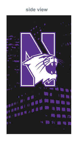 Northwestern University Wildcats Full Color Sublimated Boxer Shorts