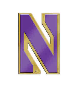 Northwestern Wildcats Gold Tone Brass Lapel Pin with Stylized N Design